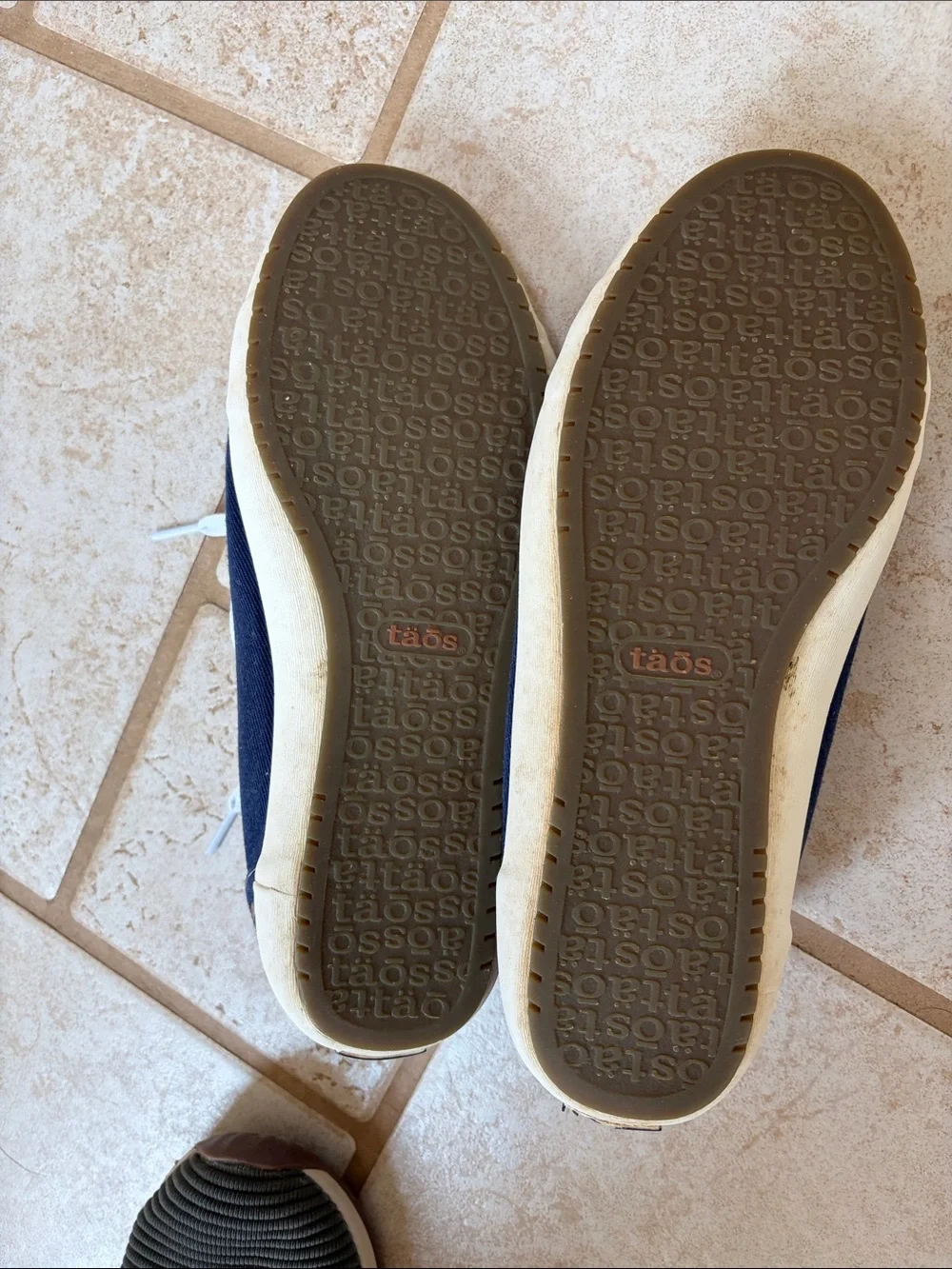 Taos Footwear Kids Navy Canvas Lace-Up Sneakers with White Laces